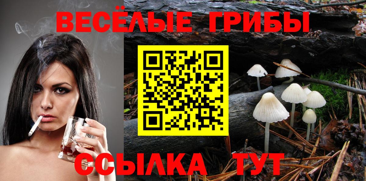 Псилоцибиновые грибы мухоморы  Псилоцибиновые грибы ЛСД  Вход с VPN  Рославль 