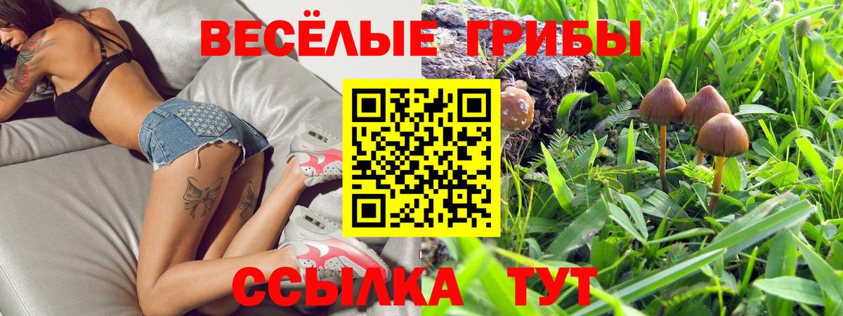 Псилоцибиновые грибы Psilocybine cubensis Рославль
